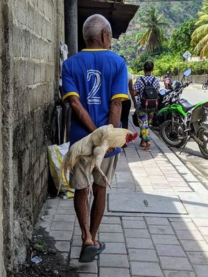 Forget Doctors Without Borders: On Health Systems and Capacity Building with Dr. Natarajan Rajaraman